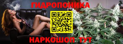 стаф Гагарин