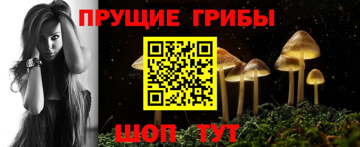 Галлюциногенные грибы прущие грибы Москва